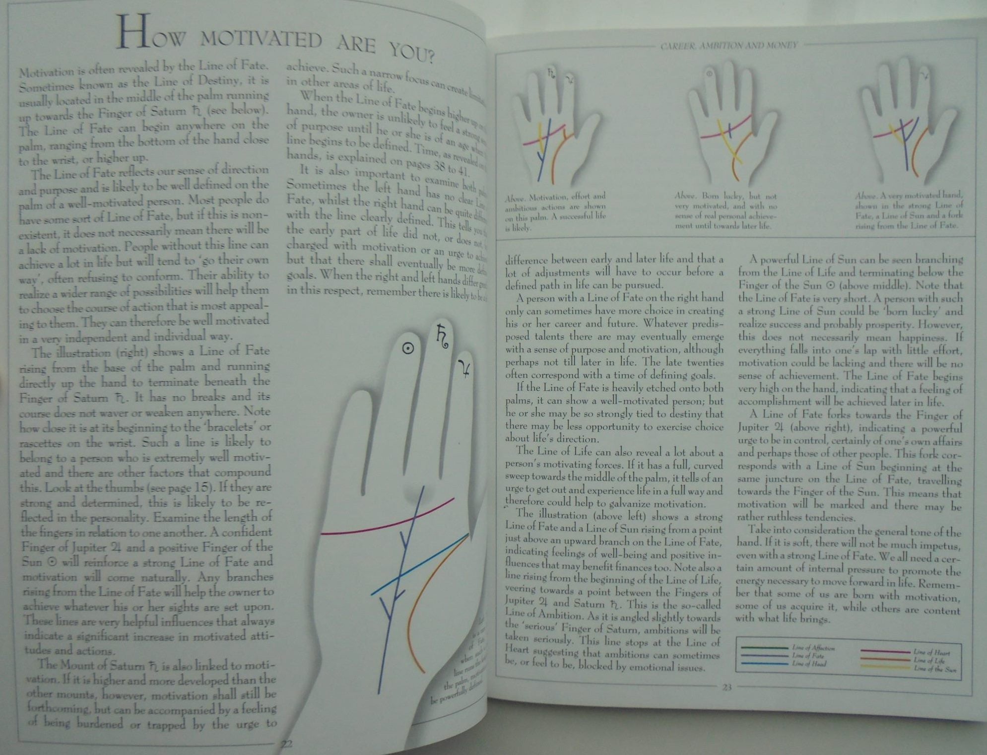 Palmistry: How to Chart the Lines of Your Life. By Roz Levine