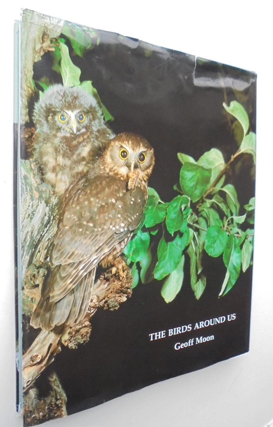 The birds around us : New Zealand birds, their habits and habitats. By Geoff Moon