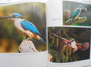 The birds around us : New Zealand birds, their habits and habitats. By Geoff Moon