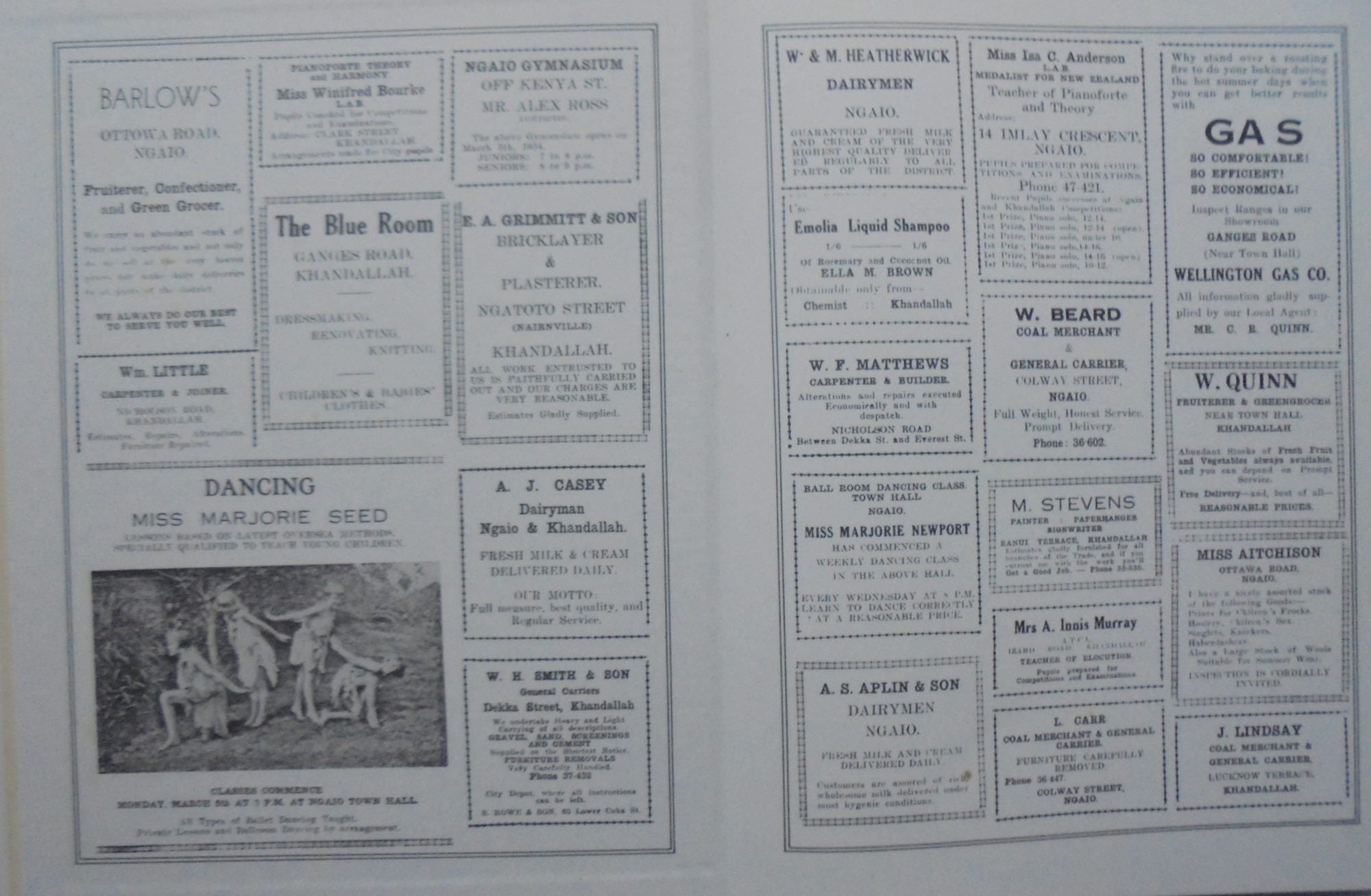 Wellington's Northern Suburbs 1919 -1945. By BREMNER, JULIE (Ed)