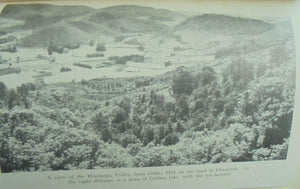 Chaslands Pioneering Days in Southern New Zealand by G.E. Dewar.