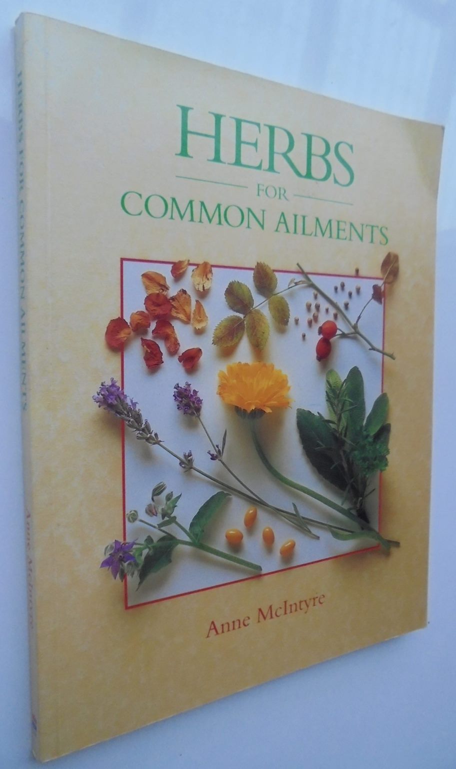 Herbs for Common Ailments by McIntyre, Anne