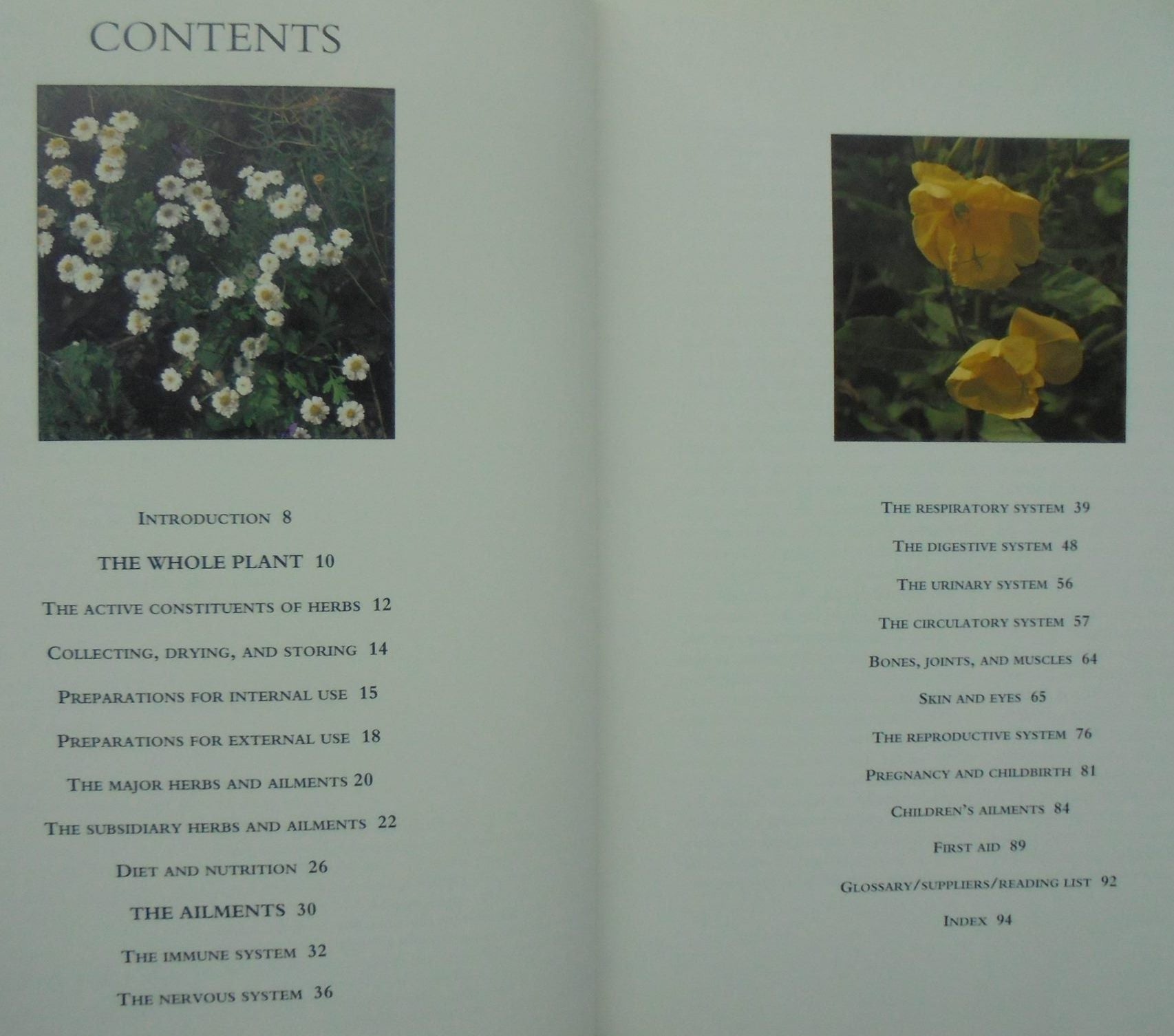 Herbs for Common Ailments by McIntyre, Anne