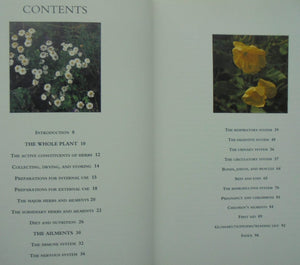 Herbs for Common Ailments by McIntyre, Anne