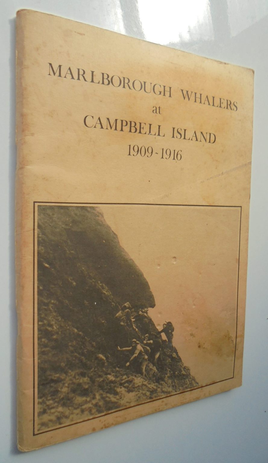 Marlborough Whalers At Campbell Island 1909-196: A Narrative Based on the Recollections of J. Timms by I S Kerr, N Judd (editors).