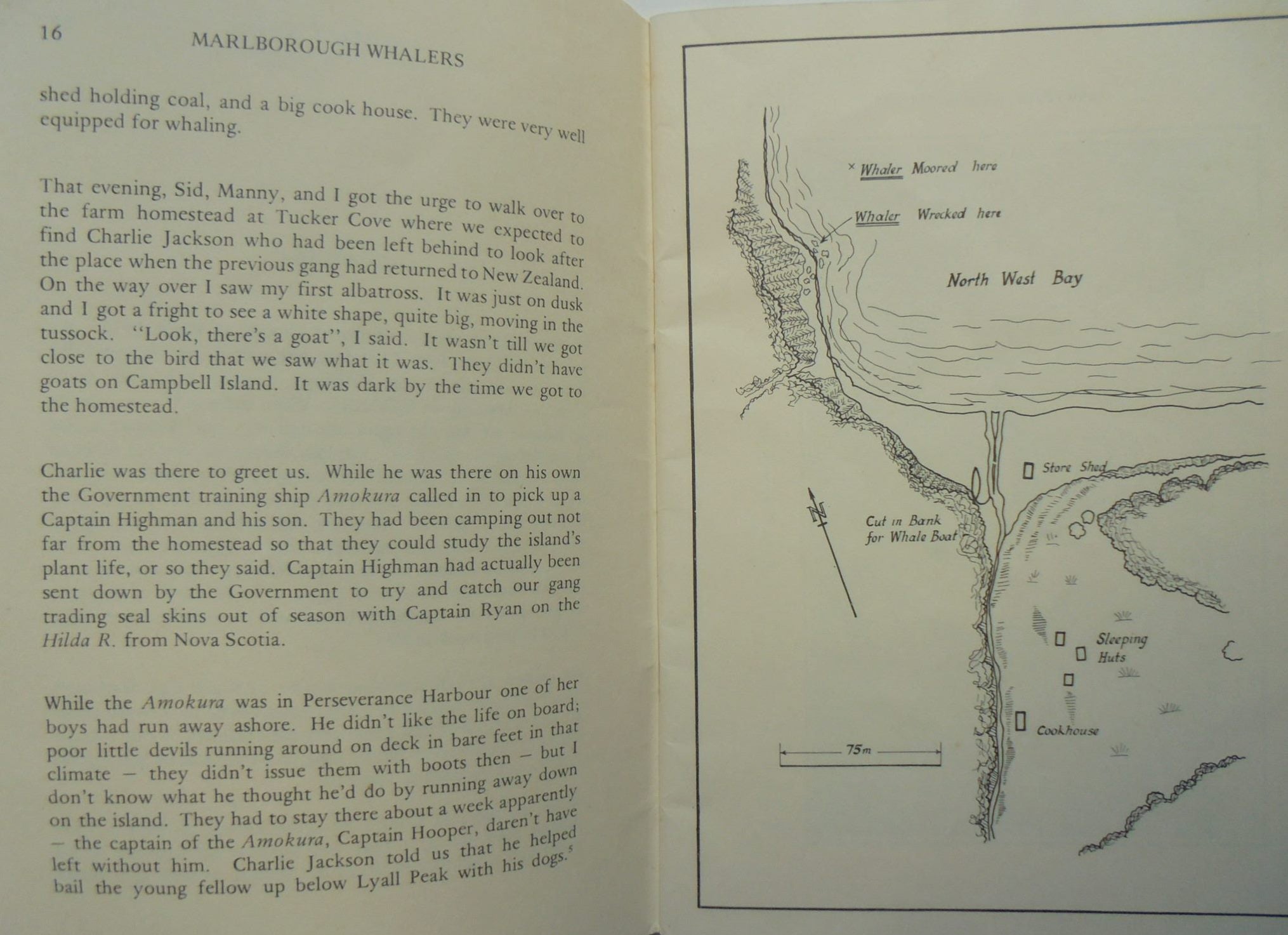 Marlborough Whalers At Campbell Island 1909-196: A Narrative Based on the Recollections of J. Timms by I S Kerr, N Judd (editors).