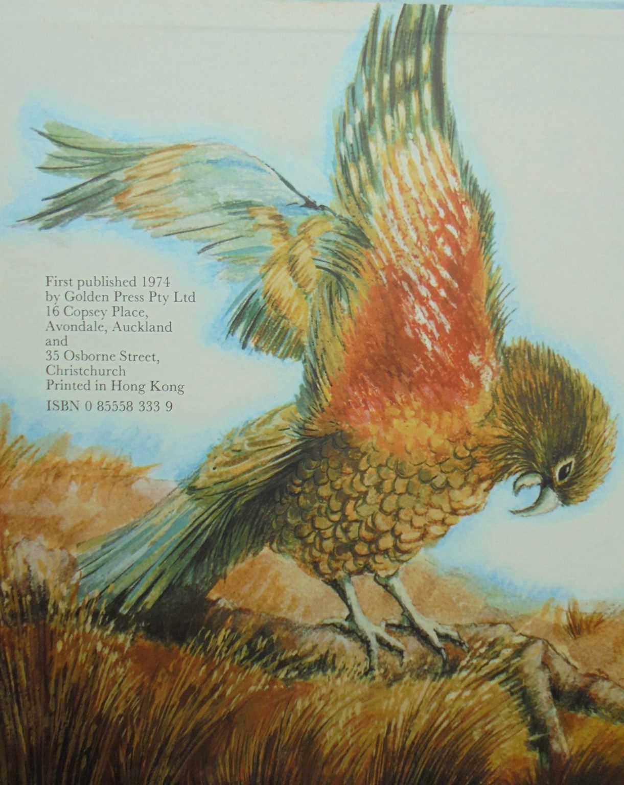 New Zealand Golden Books. Rewi The Red Dear. Charlie The Cheeky Kea. James The Captain Cook Pig.  Kahu The Cautious Kiwi