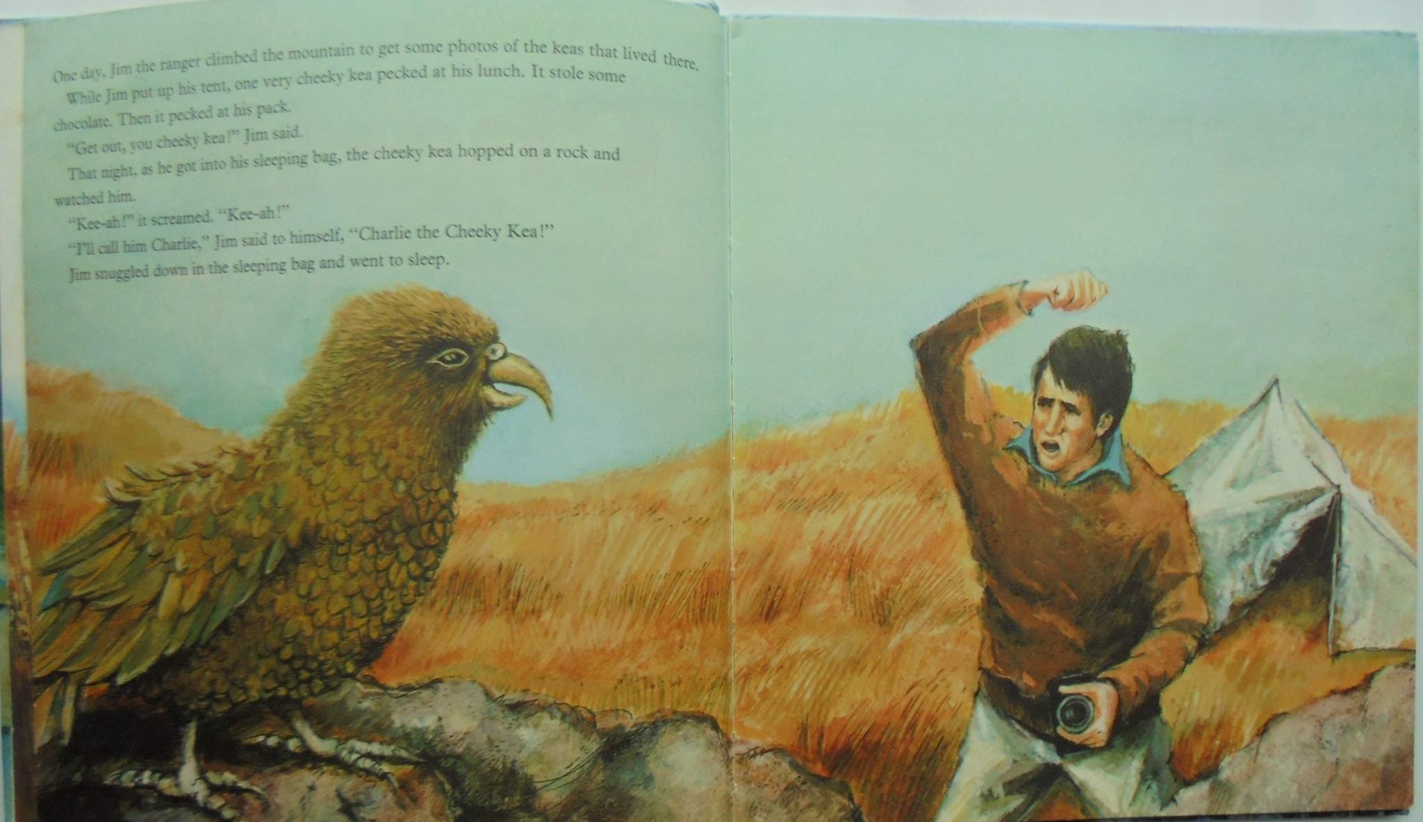 New Zealand Golden Books. Rewi The Red Dear. Charlie The Cheeky Kea. James The Captain Cook Pig.  Kahu The Cautious Kiwi