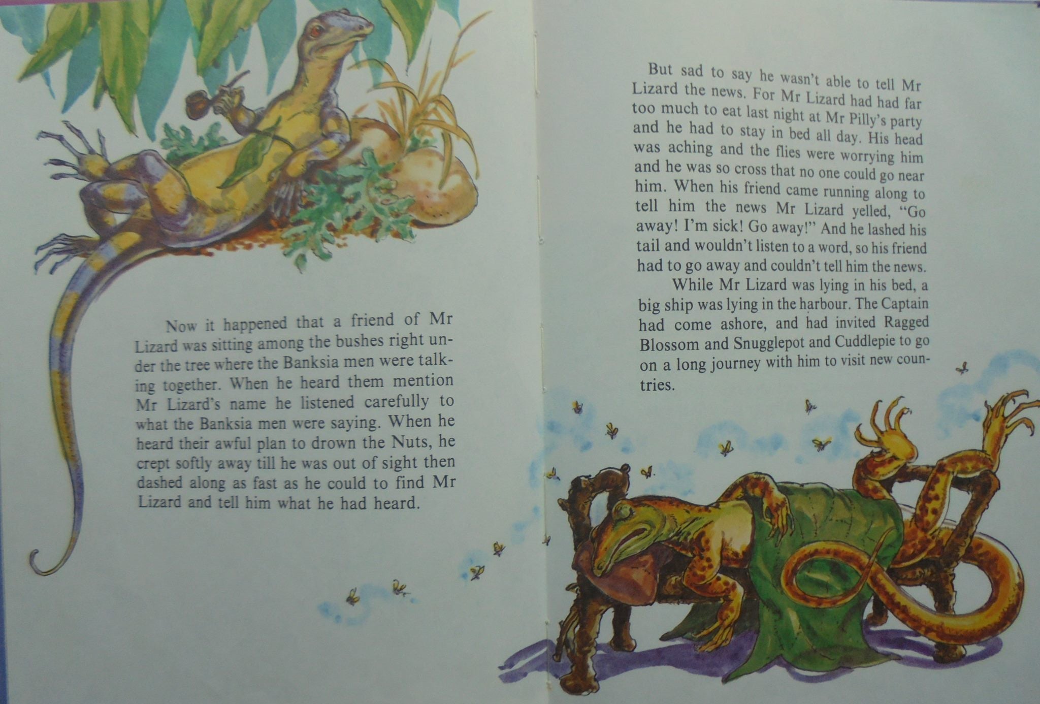 3 May Gibbs books. Snugglepot and Cuddlepie Meet Mr Lizard. Little Ragged Blossom.