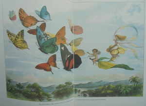 In Fairyland Pictures from the Elf-world By Richard Doyle (Illustrated by)