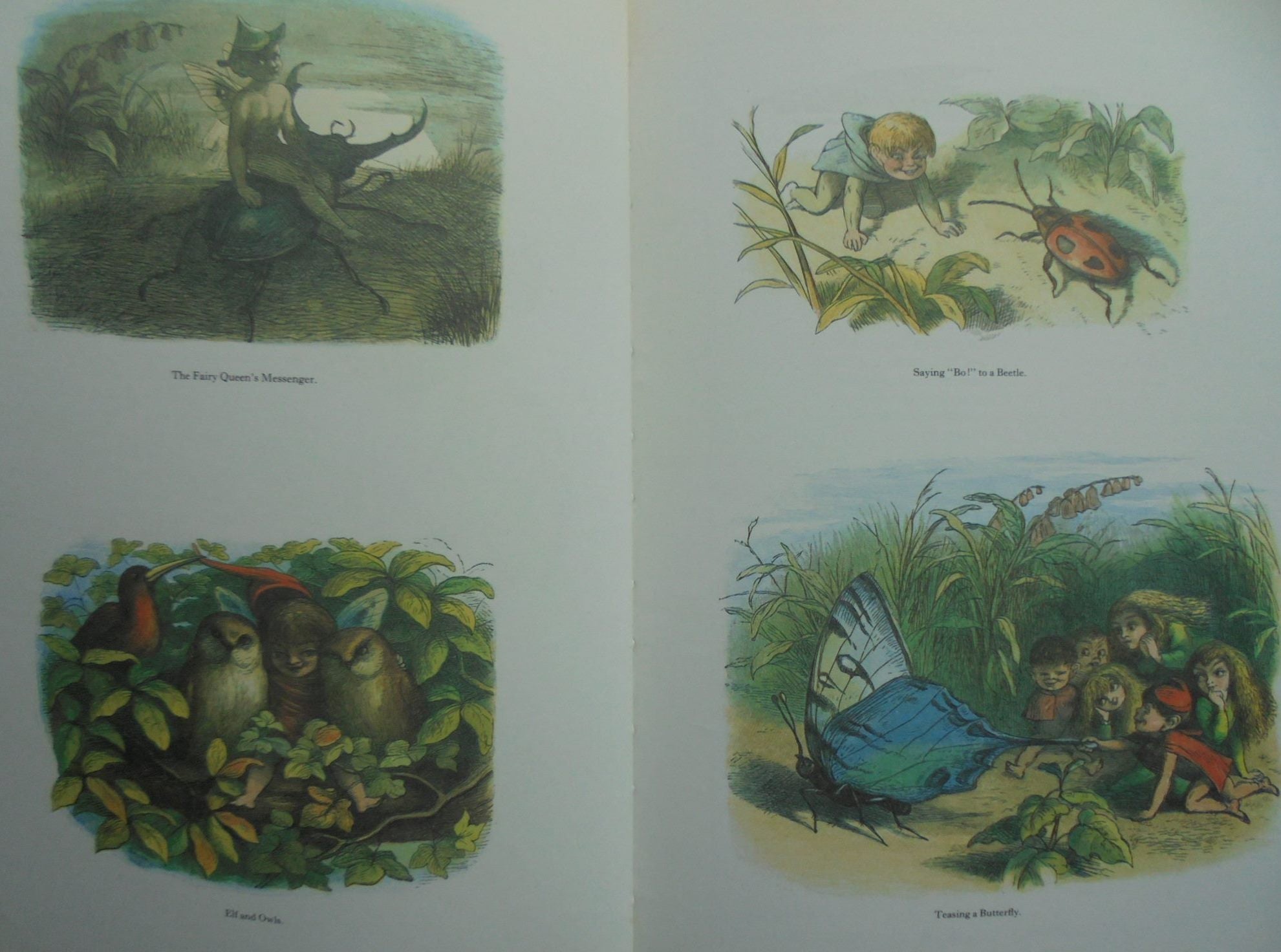 In Fairyland Pictures from the Elf-world By Richard Doyle (Illustrated by)