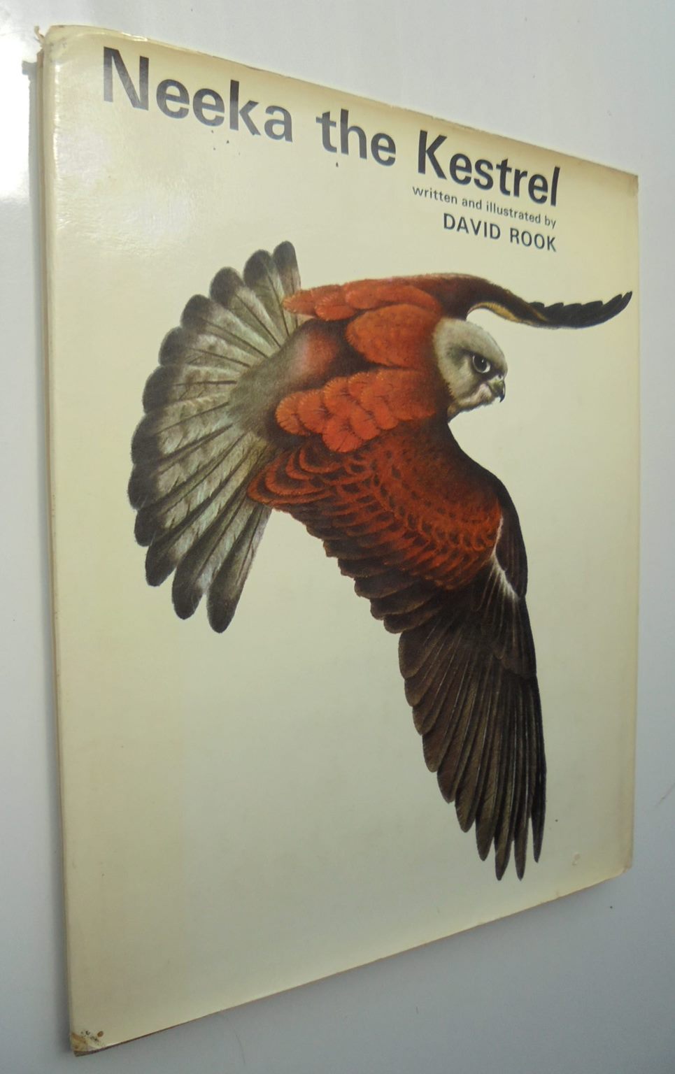 David Rook Author Neeka the kestrel. By David Rook – Phoenix Books NZ