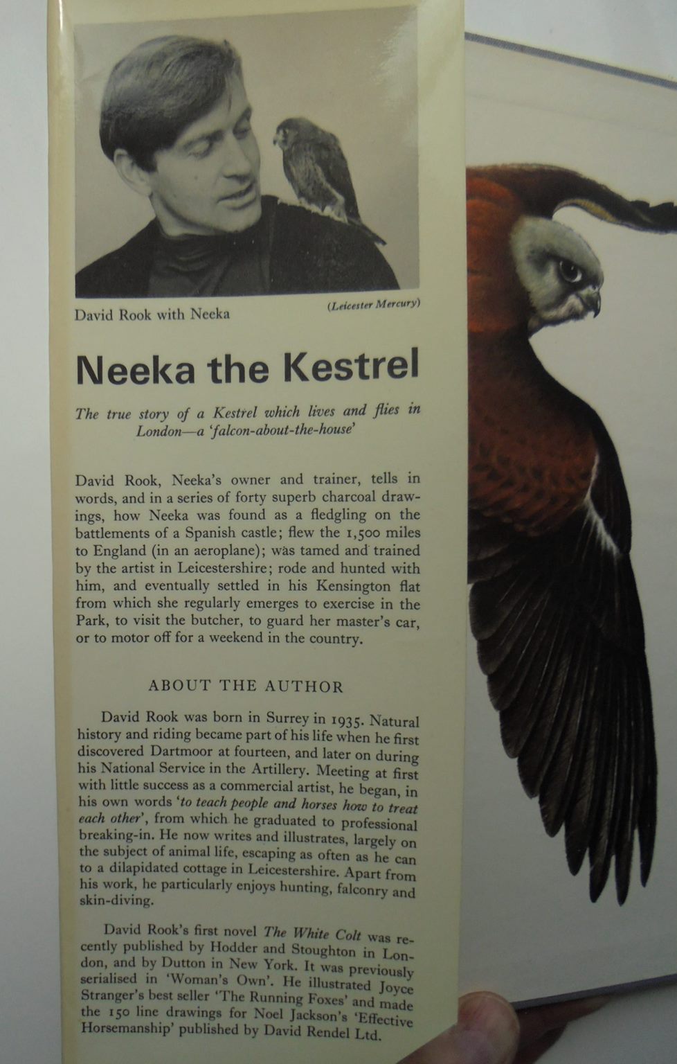 David Rook Author Neeka the kestrel. By David Rook – Phoenix Books NZ