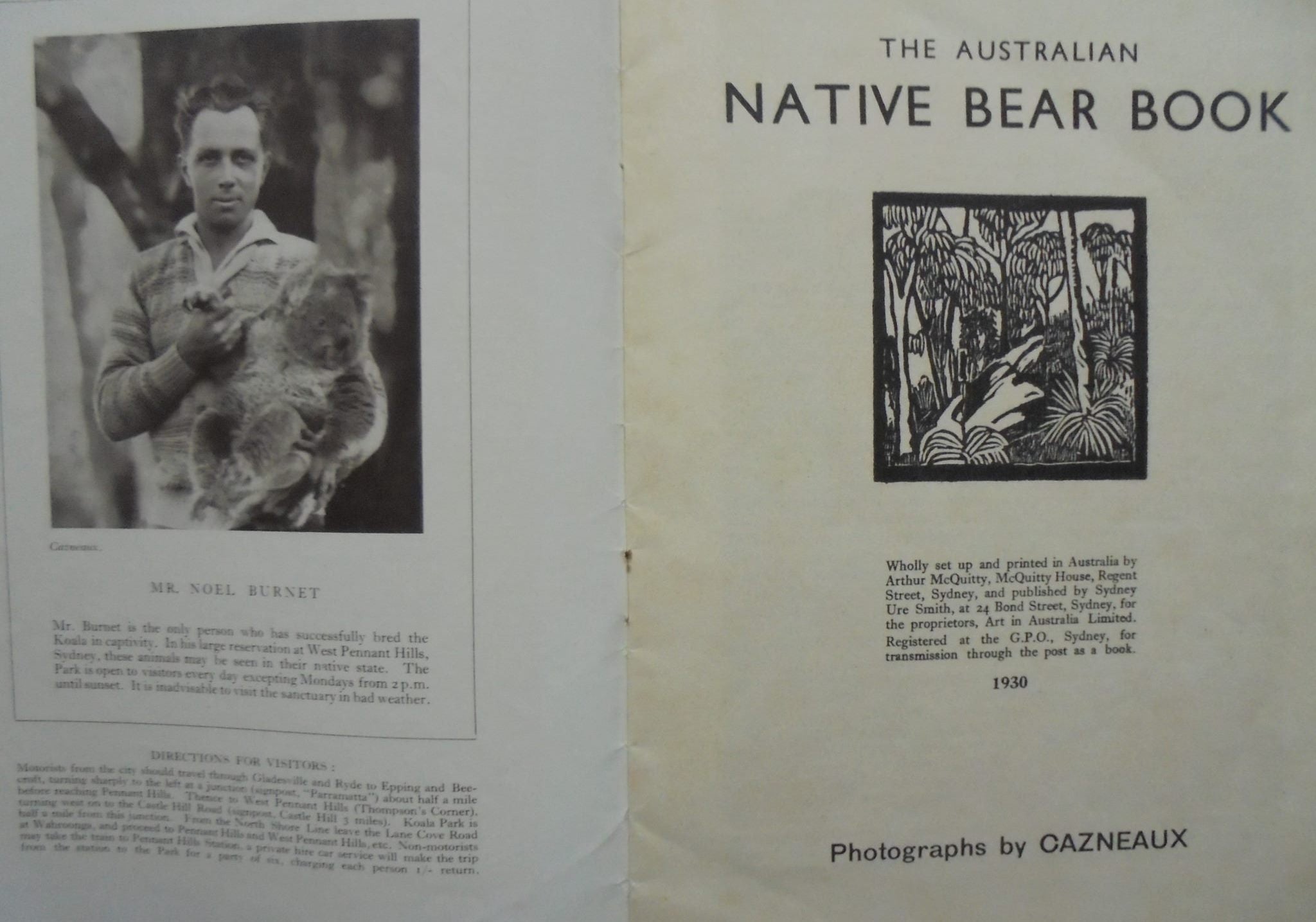 The Australian native bear book: Photographic studies by Cazneaux.