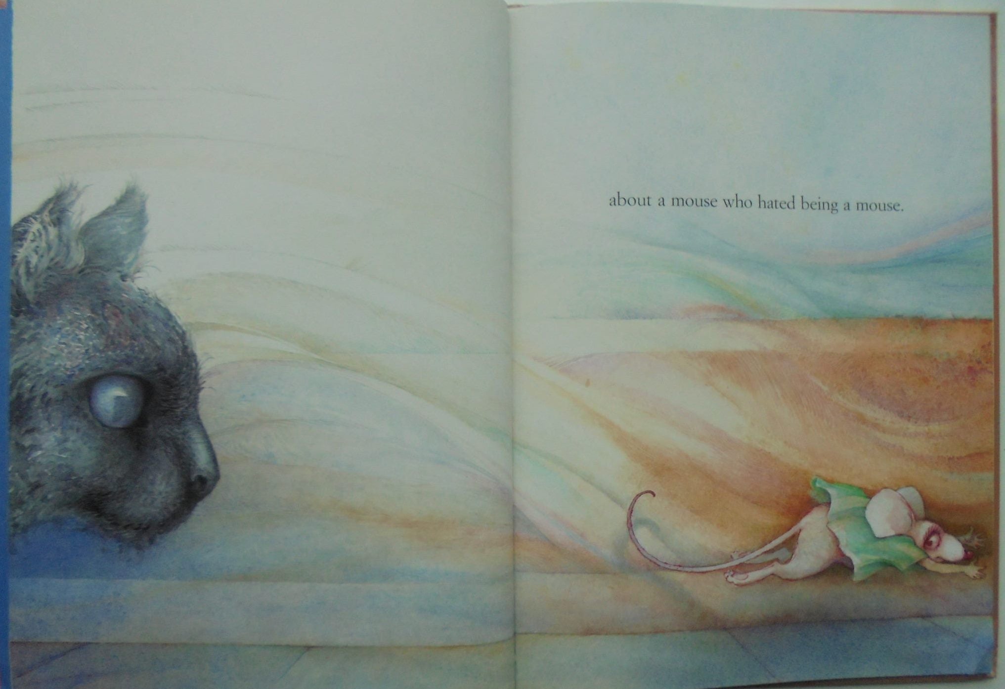 THE MOUSE BRIDE - Joy Cowley + illustrated by David Christiana