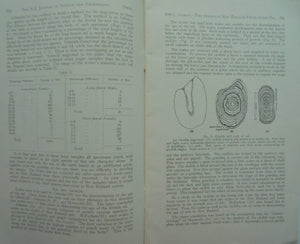 Eels Life-History Of The Two Species Of New Zealand Fresh-water Eel. By David K. Cairns