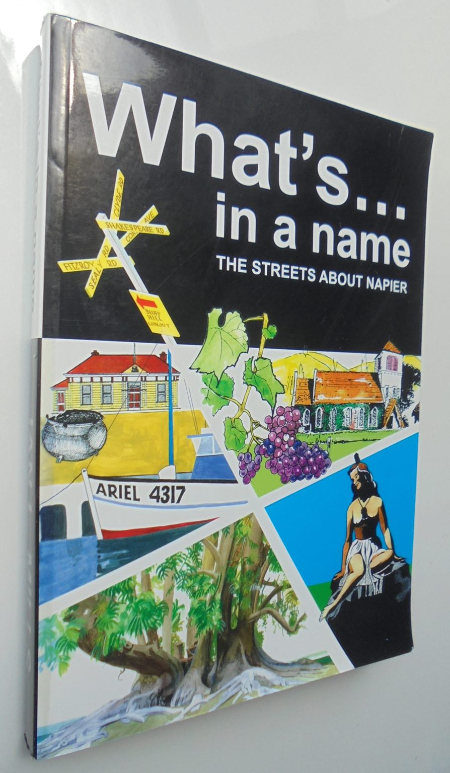 What's in a Name. The Streets about Napier (History of the streets of Napier) by Ian L. Mills.