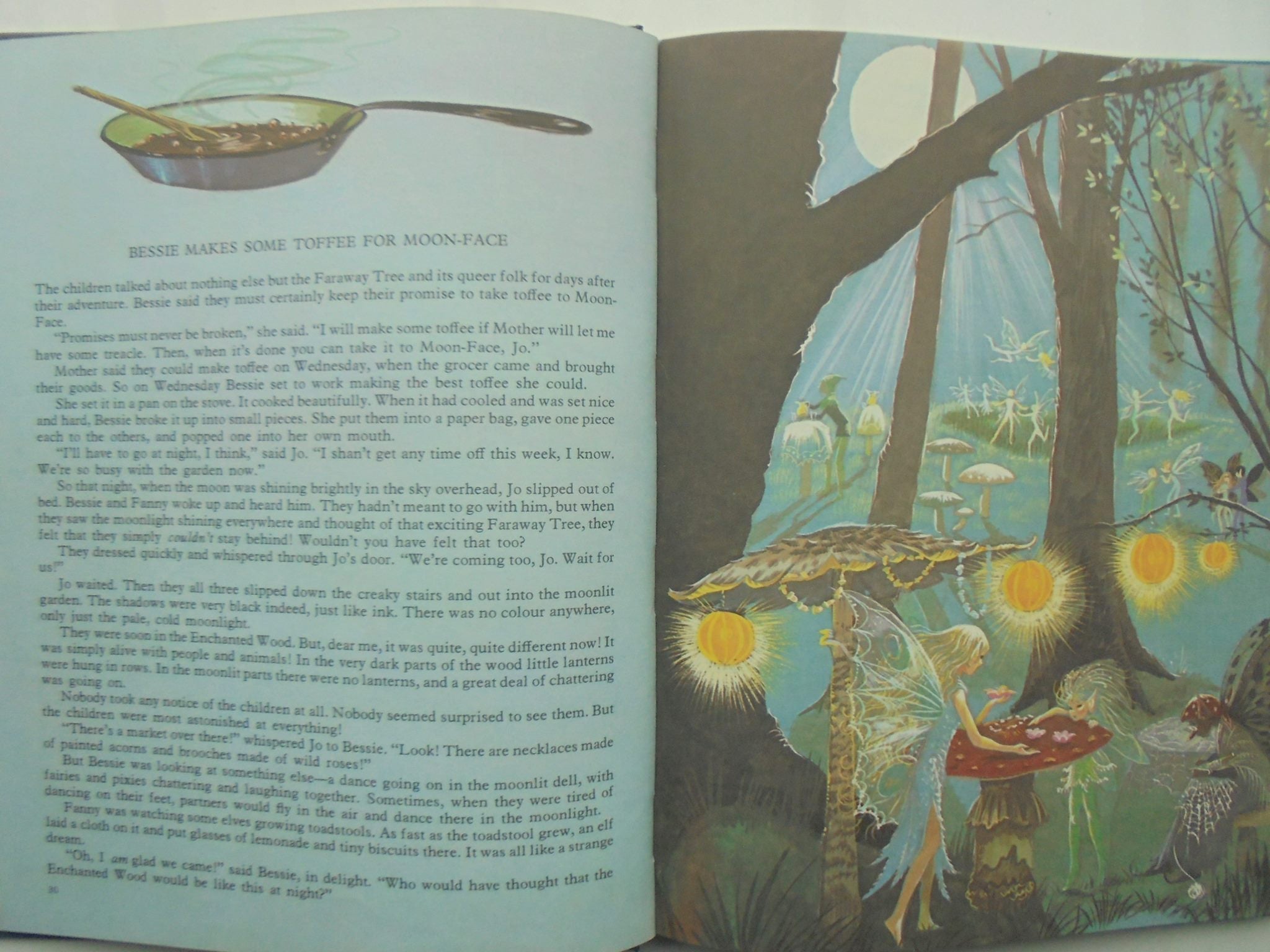 The Enchanted Wood. By Enid Blyton. Illustrated By Janet & Anne Grahame Johnstone