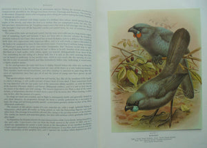 Buller's Birds of New Zealand. Edited and brought up to date by E G Turbott.