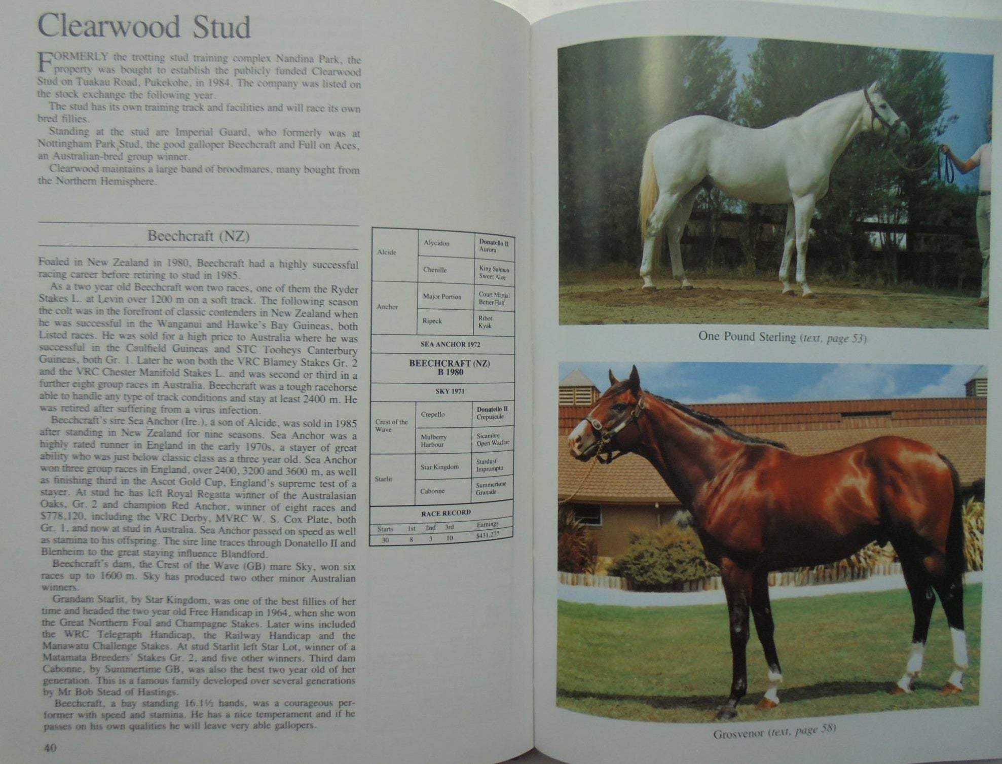 The Thoroughbred Stallions And Studs Of New Zealand. By Bill Cox