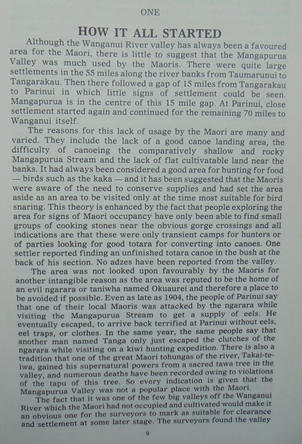 The Bridge to Nowhere The Ill-Fated Mangapurua Settlement by Arthur P. Bates.