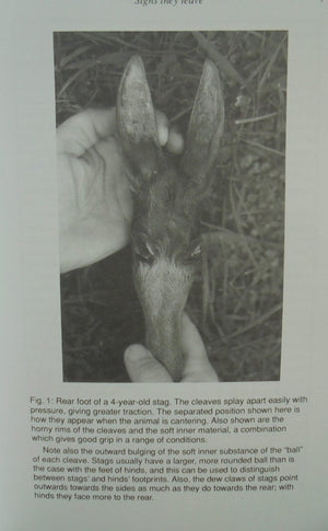 Red Deer in New Zealand. A Complete Hunting Manual. By Roger Lentle, Frank Saxton