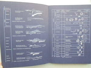 The Reed Field Guide to New Zealand Geology: An Introduction to Rocks, Minerals, and Fossils by Jocelyn Thornton.