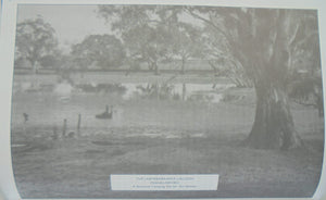 A Successful Failure. A Trilogy. The Aborigines and Early Settlers by Edgar Morrison,[Geoff Morrison (ed.)].