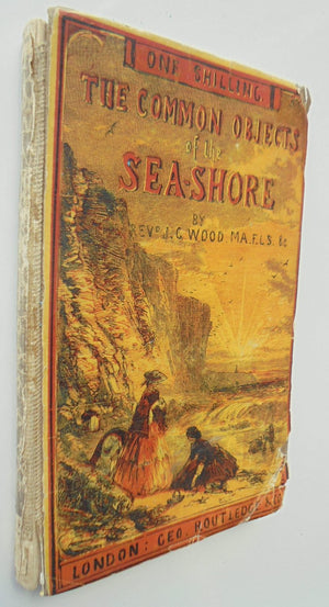 The Common Objects Of The Sea Shore : Including Hints For An Aquarium. 1859