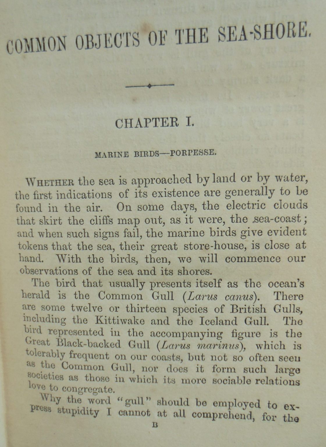 The Common Objects Of The Sea Shore : Including Hints For An Aquarium. 1859