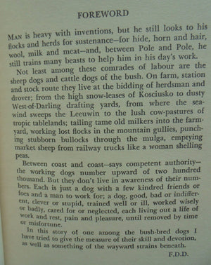 Dusty A Dog of the Sheep Country By Frank Dalby Davison (1947)