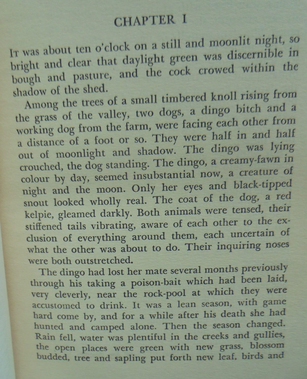 Dusty A Dog of the Sheep Country By Frank Dalby Davison (1947)