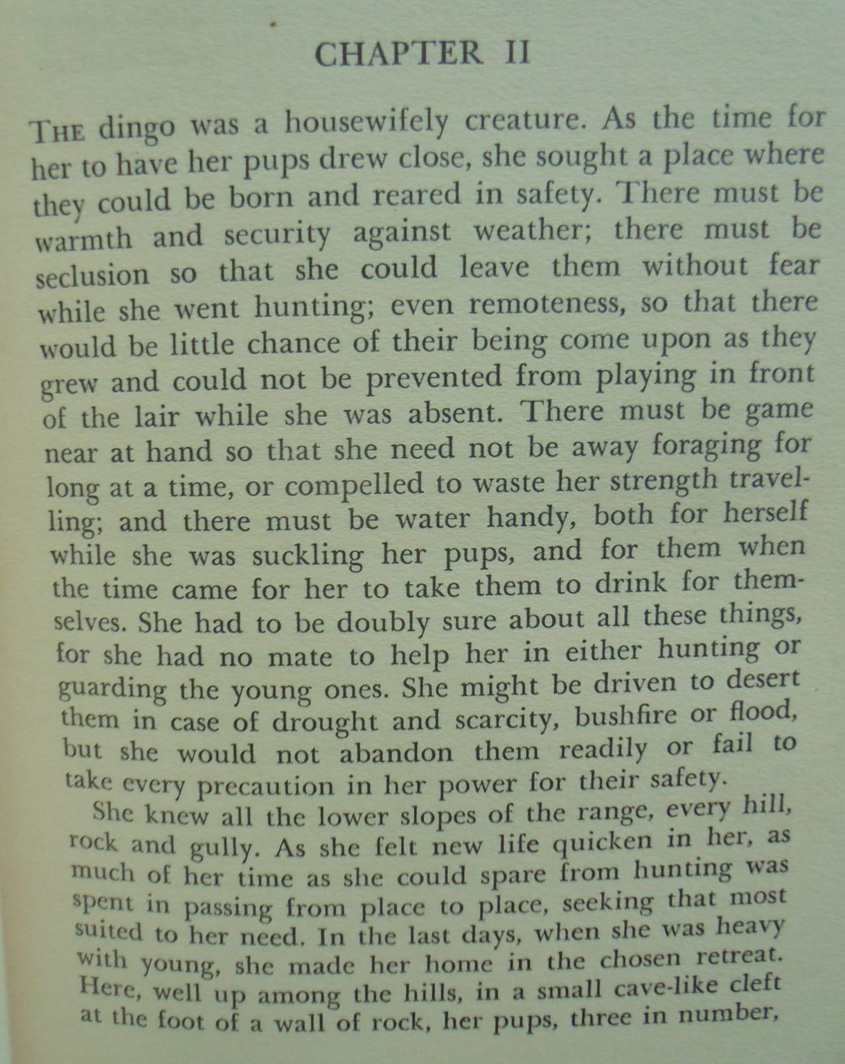 Dusty A Dog of the Sheep Country By Frank Dalby Davison (1947)