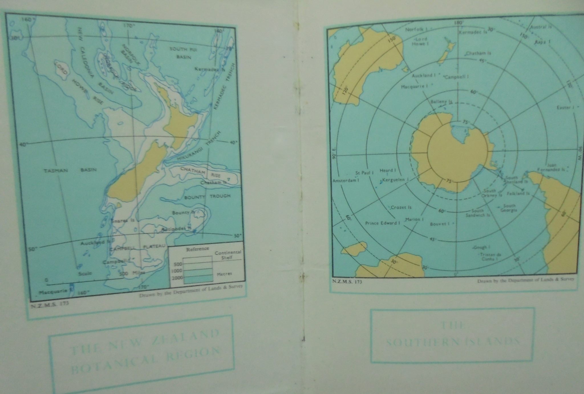 Flora of New Zealand: Volume III: Adventive Cyperaceous, Petalous & Spathaceous Monocotyledons by A J Healy, E. Edgar.