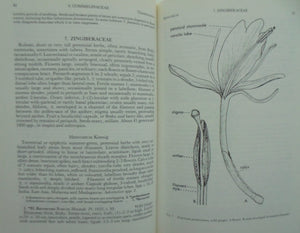 Flora of New Zealand: Volume III: Adventive Cyperaceous, Petalous & Spathaceous Monocotyledons by A J Healy, E. Edgar.