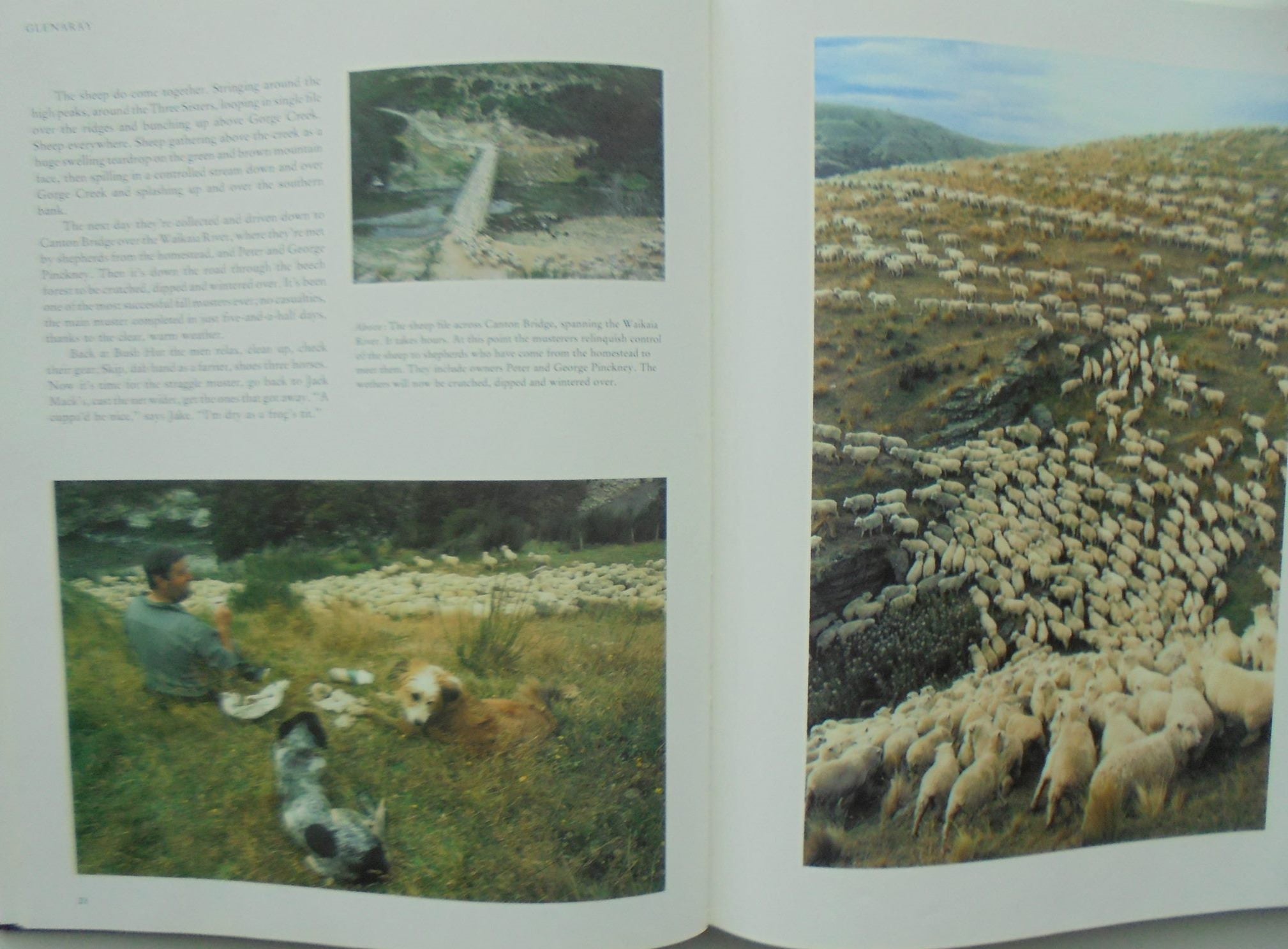 Stockman Country, a New Zealand Mustering Adventure: at Glenaray, Molesworth, Arawhata, Waipaoa & Great Northern Cattle Drive By Bruce Foster & Vernon Wright.