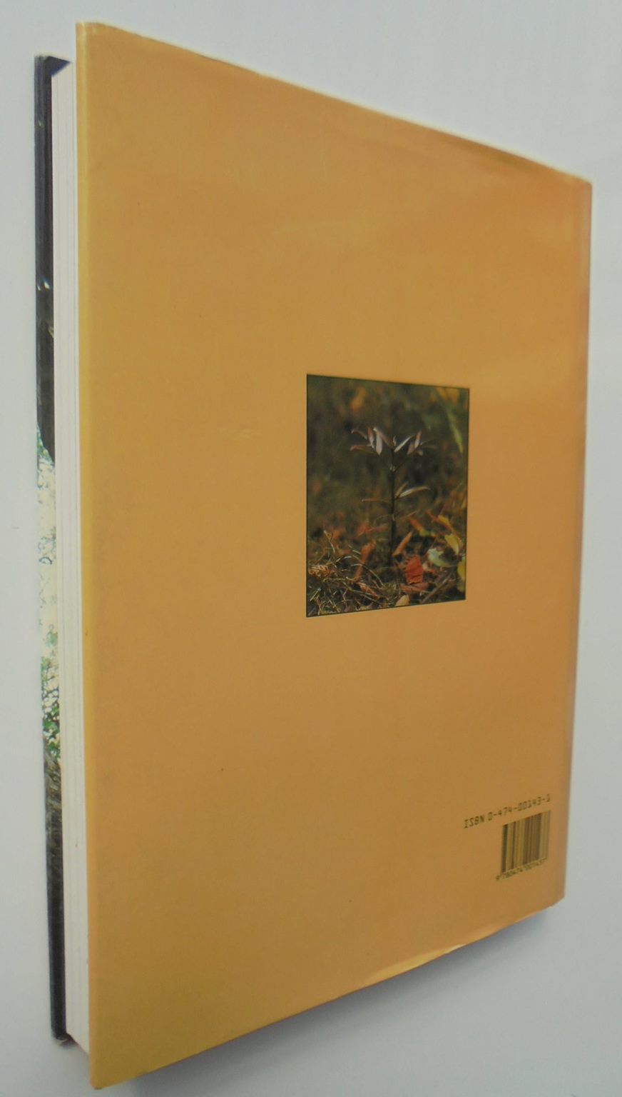 The world of the Kauri by HALKETT, John & SALE, E.V.