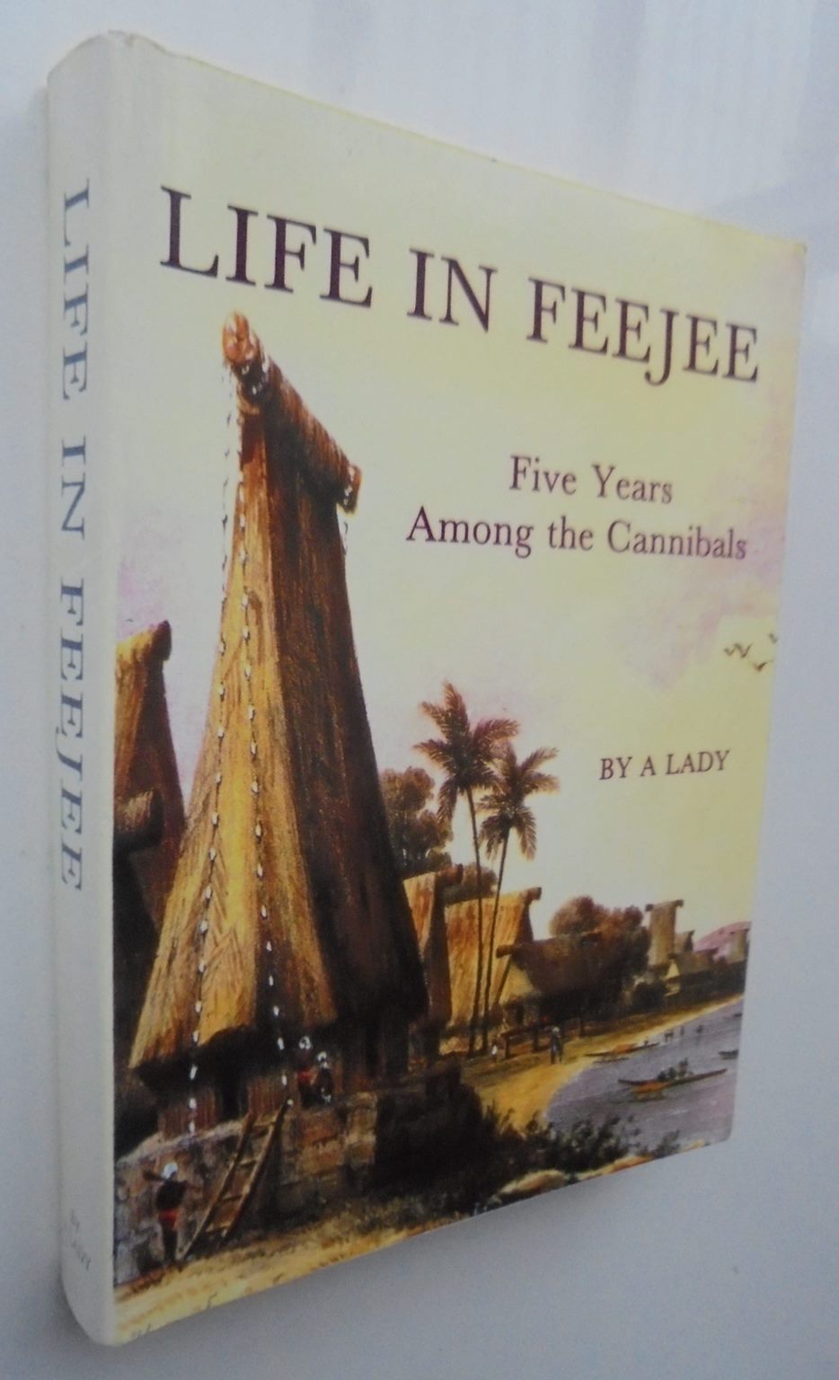 Life in FeeJee: Five Years Among the Cannibals. By Mary Wallis